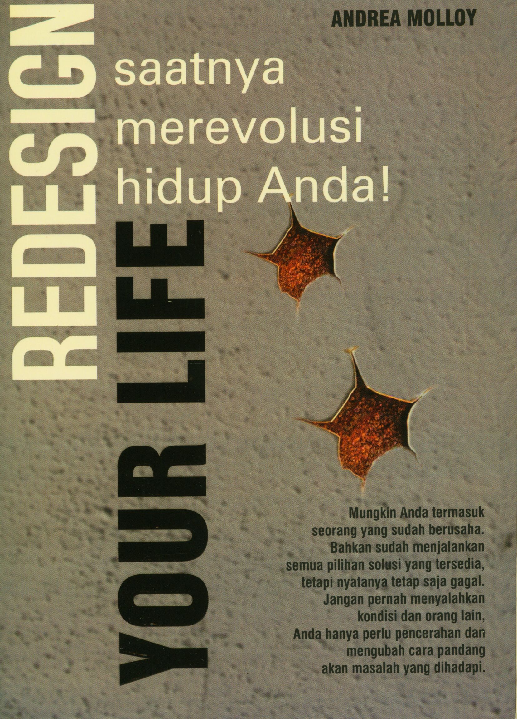 Redesign Your Life Saatnya Merevolusi Hidup Anda!